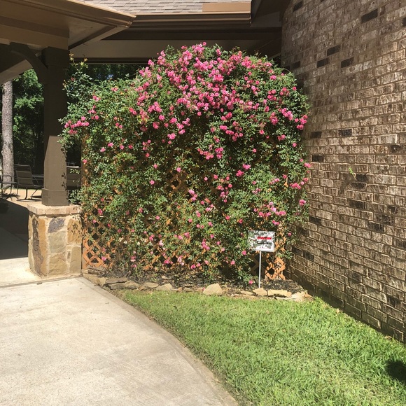 Meet your Posher, Mandy - Picture 1 of 1